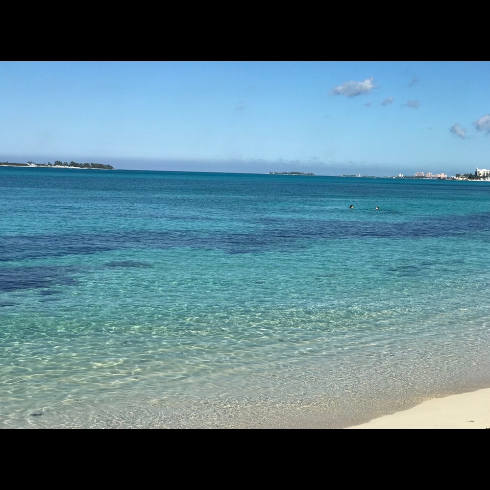 Meet your Posher, Audrey